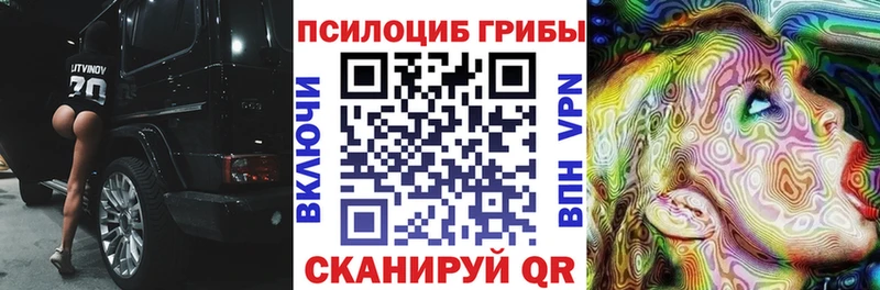 Псилоцибиновые грибы Magic Shrooms  цены наркотик  Томмот 